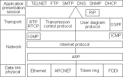 Figure 2. The TCP/IP stack is actually a set of protocols. IP resides at the network layer of the OSI reference model